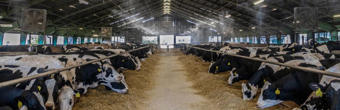 Dny českého zemědělství se konají 16. až 17. června 2023