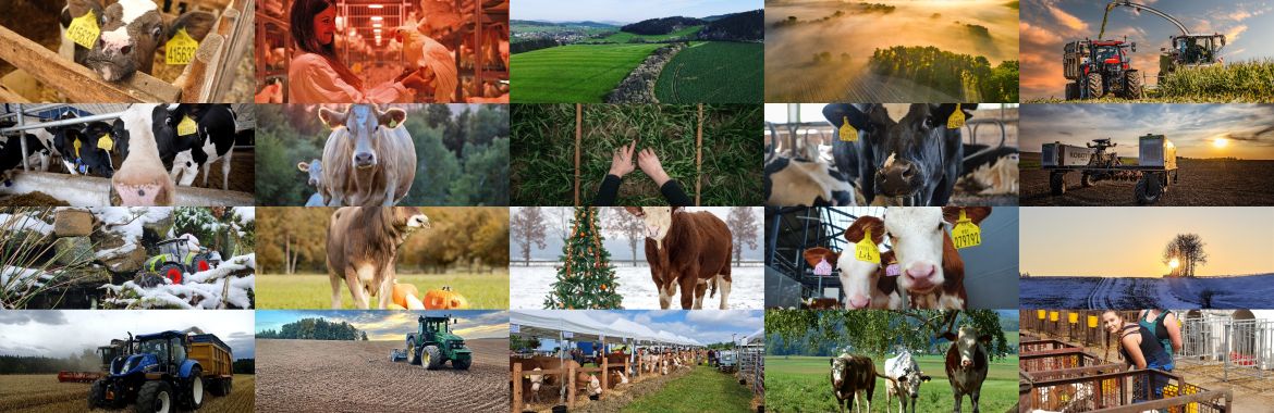 Fotosoutěž - hlasování